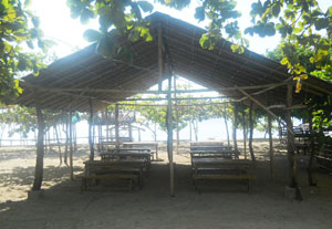 Beach Activity Area